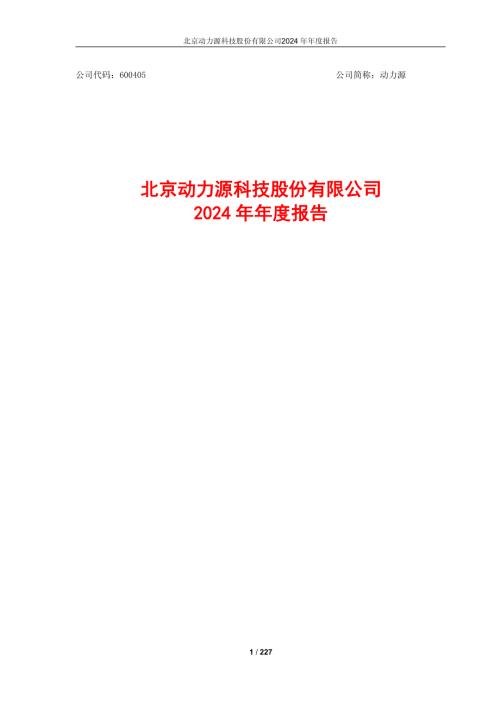 动力源：2024年年度报告.pdf