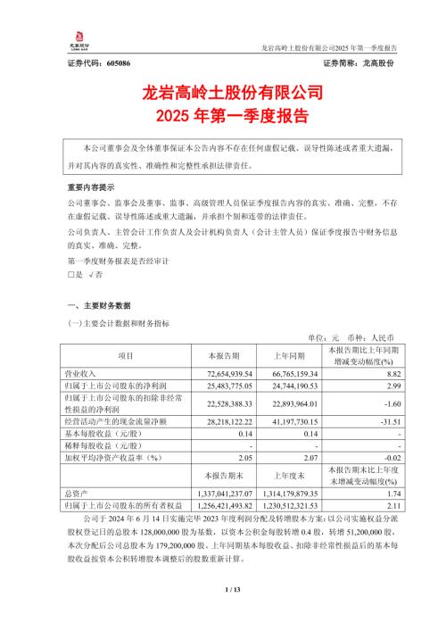 龙高股份：龙岩高岭土股份有限公司2025年第一季度报告.pdf