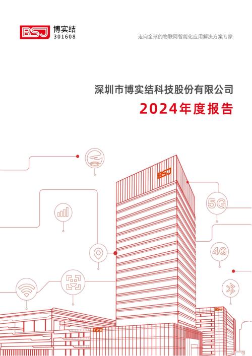 博实结：2024年年度报告.PDF