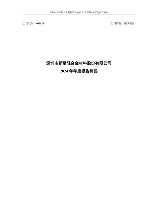 深圳新星：2024年年度报告摘要.pdf