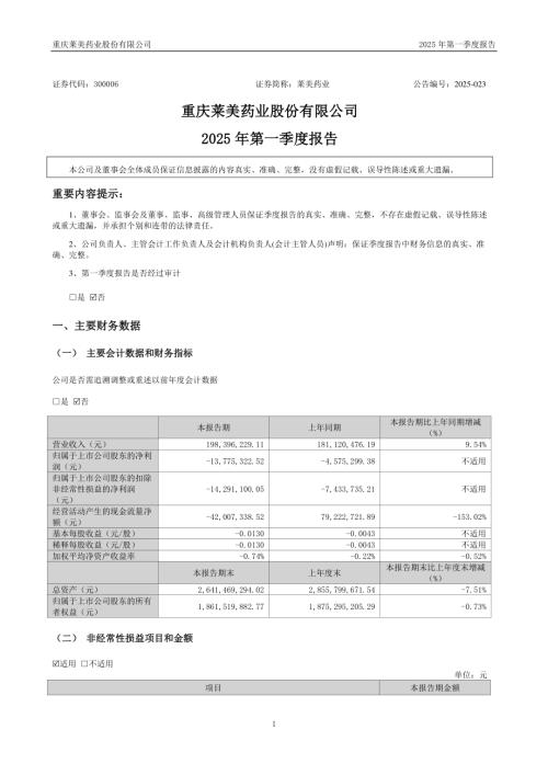 莱美药业：2025年一季度报告.PDF