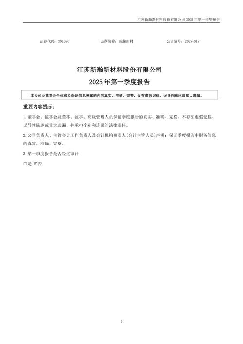 新瀚新材：2025年一季度报告.PDF