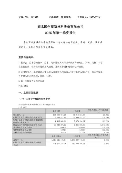 国创高新：2025年一季度报告.PDF