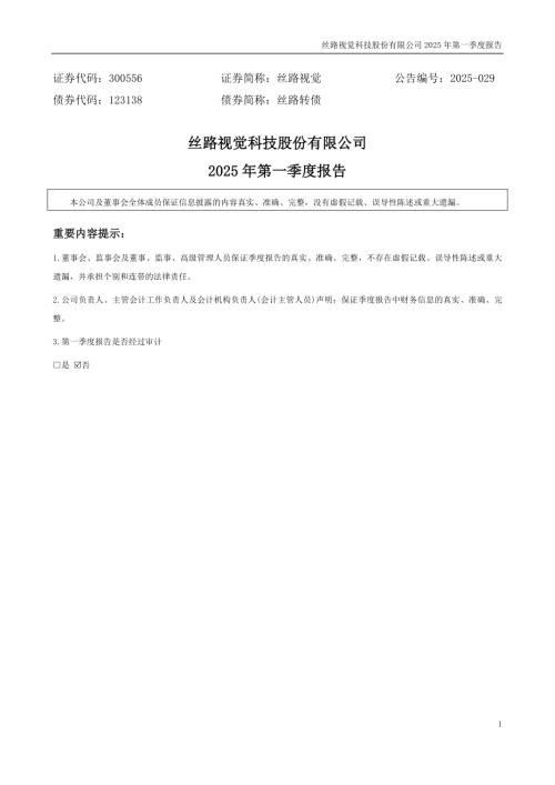 丝路视觉：2025年一季度报告.PDF