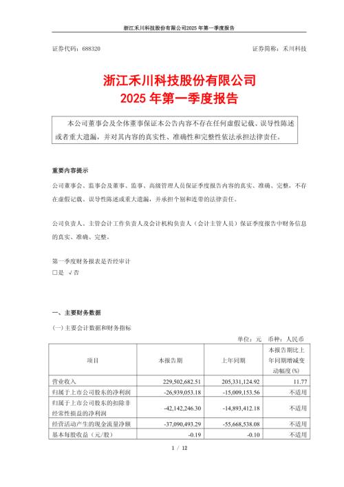 禾川科技：浙江禾川科技股份有限公司2025年一季度报告.pdf