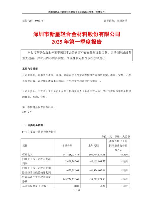深圳新星：2025年第一季度报告.pdf