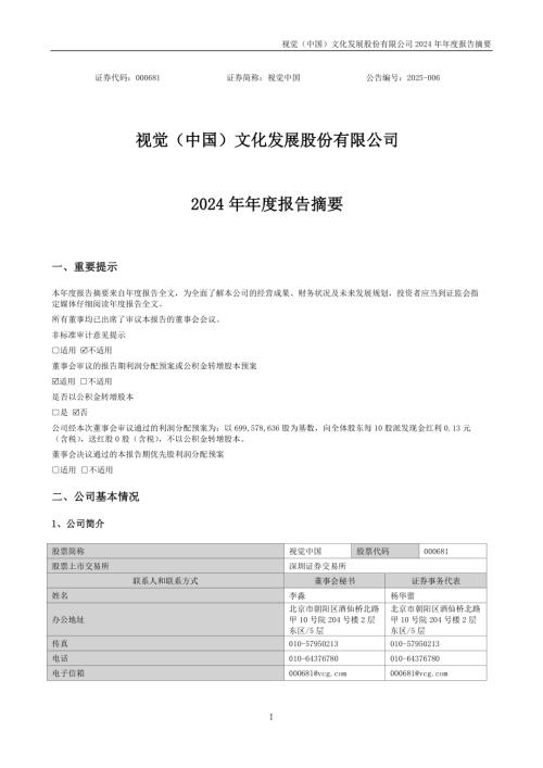 视觉中国：2024年年度报告摘要.PDF