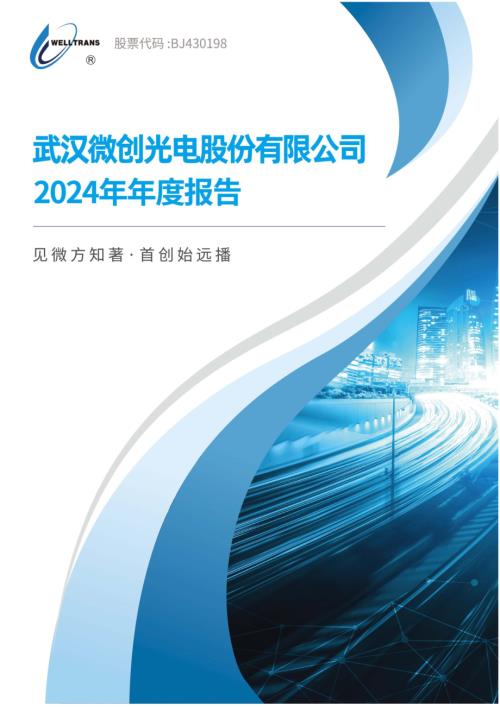 定期报告-微创光电：2024年年度报告.pdf