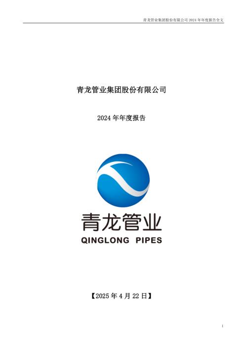 青龙管业：2024年年度报告.PDF
