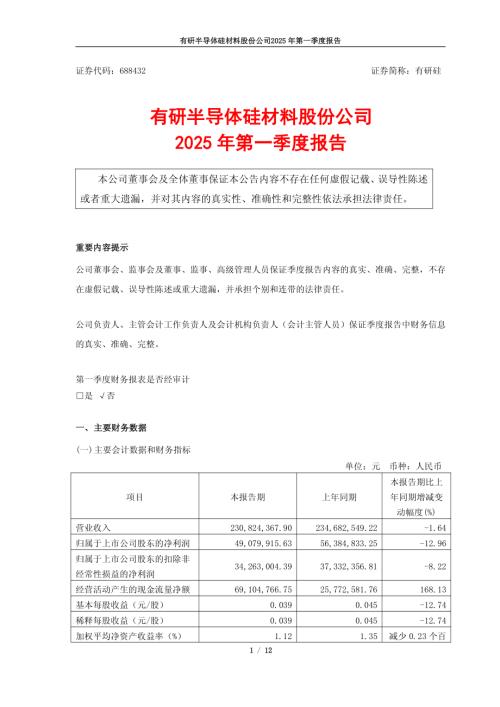 有研硅：有研硅2025年第一季度报告.pdf