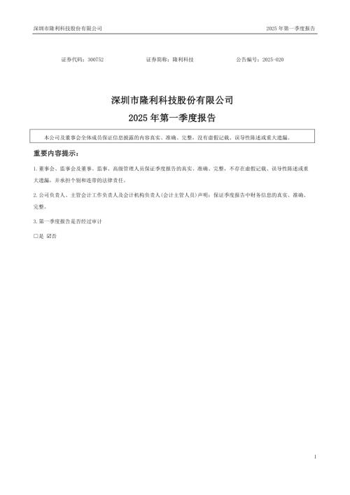 隆利科技：2025年一季度报告.PDF