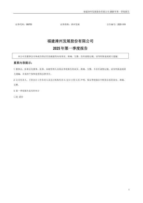 漳州发展：2025年一季度报告.PDF