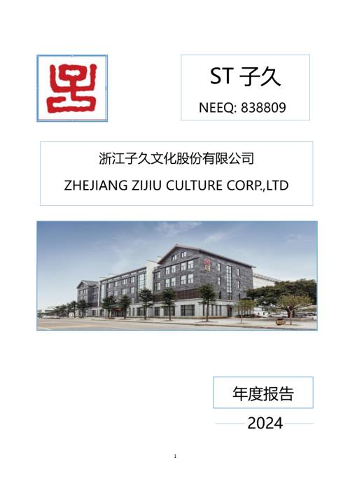 定期报告-ST子久：2024年年度报告.PDF