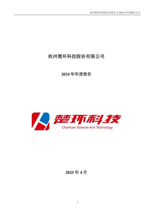 楚环科技：2024年年度报告.PDF