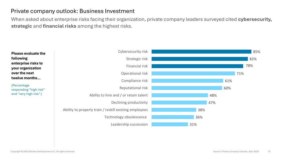 德勤（Deloitte）：2025年美国私人公司业务投资展望报告（英文版）（17页）.pdf_第15页