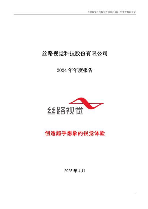 丝路视觉：2024年年度报告.PDF