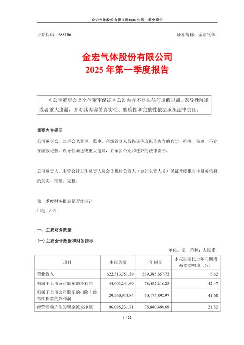金宏气体：2025年第一季度报告.PDF