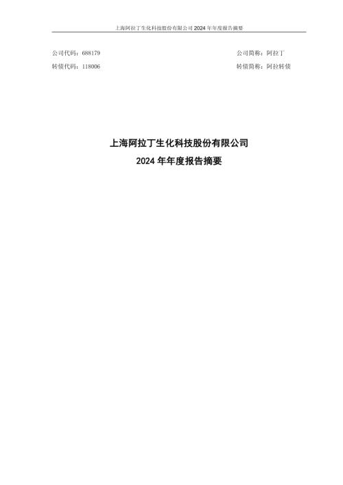 阿拉丁：阿拉丁2024年年度报告摘要.pdf