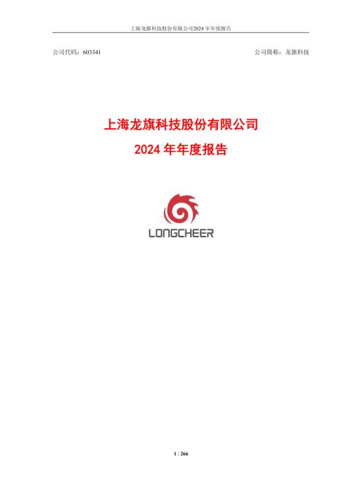龙旗科技：2024年年度报告.pdf