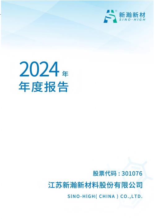 新瀚新材：2024年年度报告.PDF
