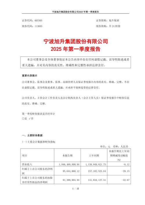 旭升集团：宁波旭升集团股份有限公司2025年第一季度报告.pdf