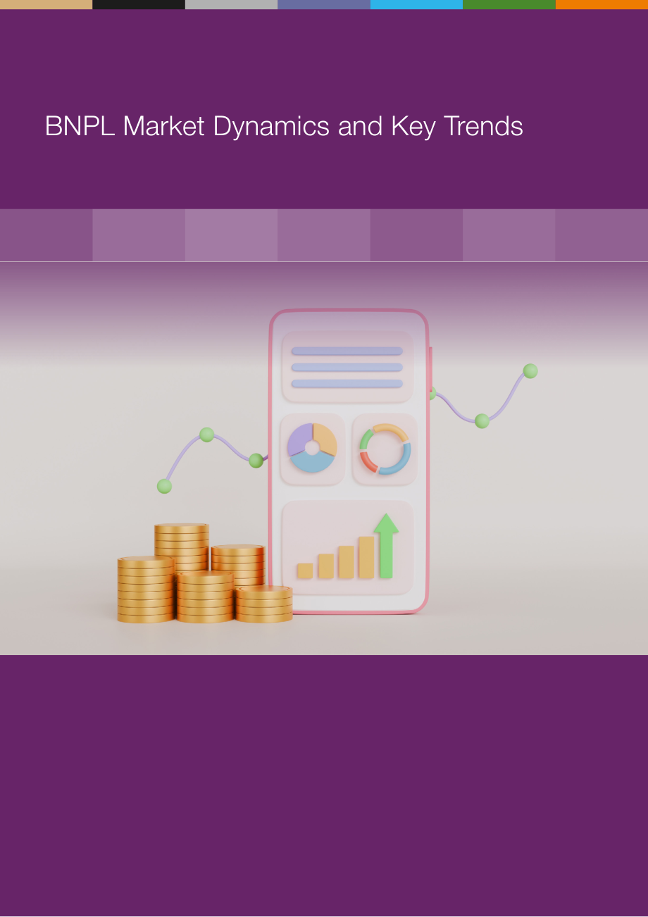 The Paypers：2025年全球先买后付（BNPL）支付生态研究报告（英文版）（41页）.pdf_第10页