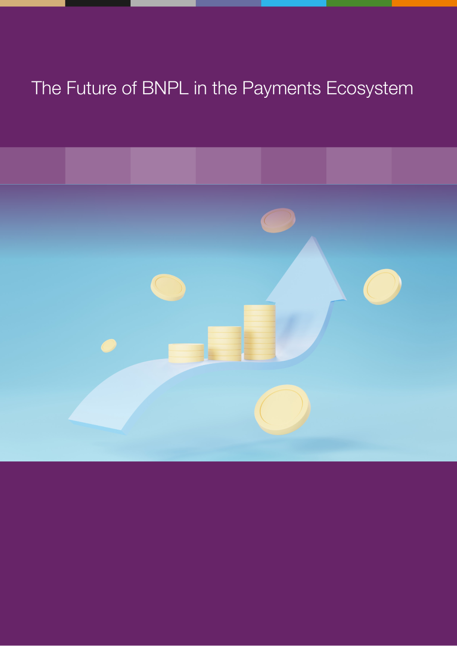 The Paypers：2025年全球先买后付（BNPL）支付生态研究报告（英文版）（41页）.pdf_第6页