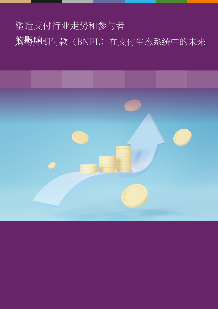 The Paypers：2025年全球先买后付（BNPL）支付生态研究报告（英文版）（41页）.pdf_第6页