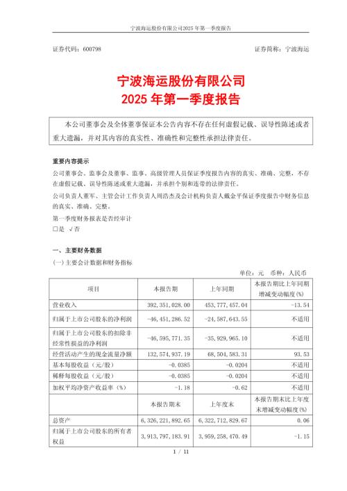 宁波海运：宁波海运股份有限公司2025年第一季度报告.PDF