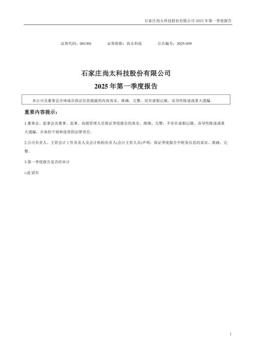 尚太科技：2025年一季度报告.PDF