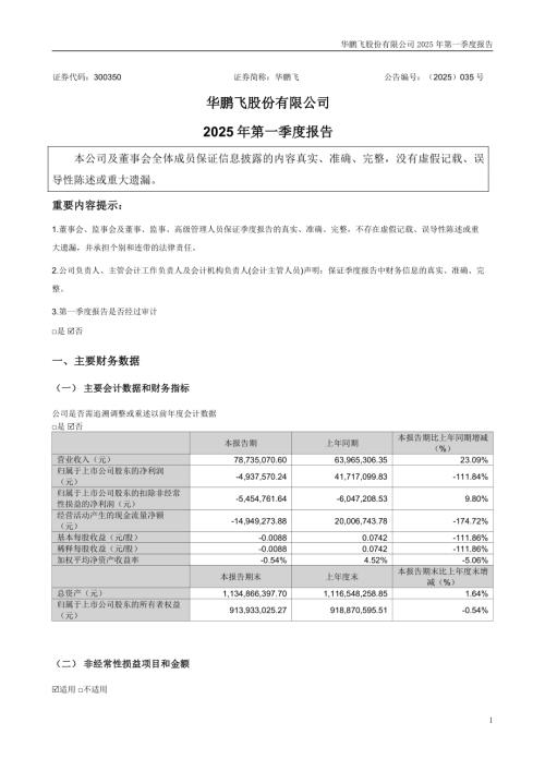 华鹏飞：2025年一季度报告.PDF