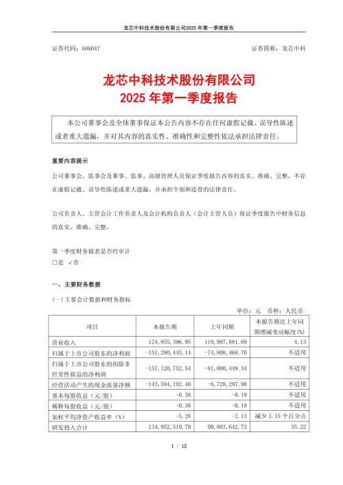 龙芯中科：龙芯中科2025年第一季度报告.pdf