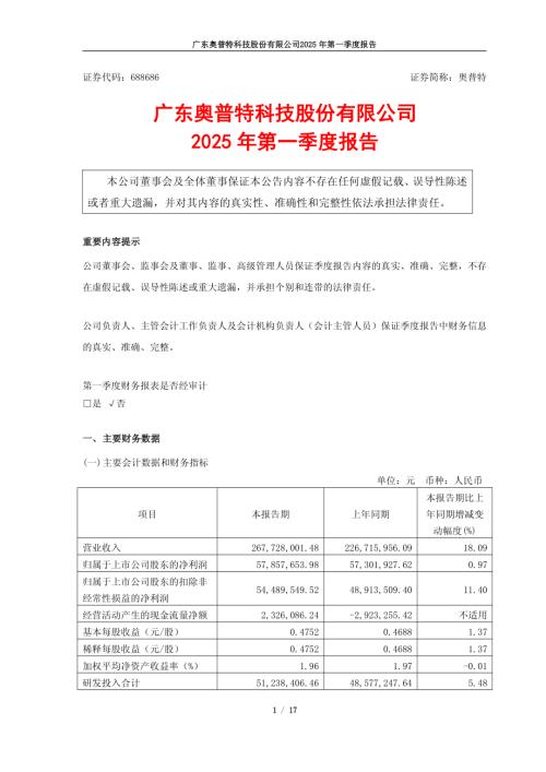 奥普特：2025年第一季度报告.pdf