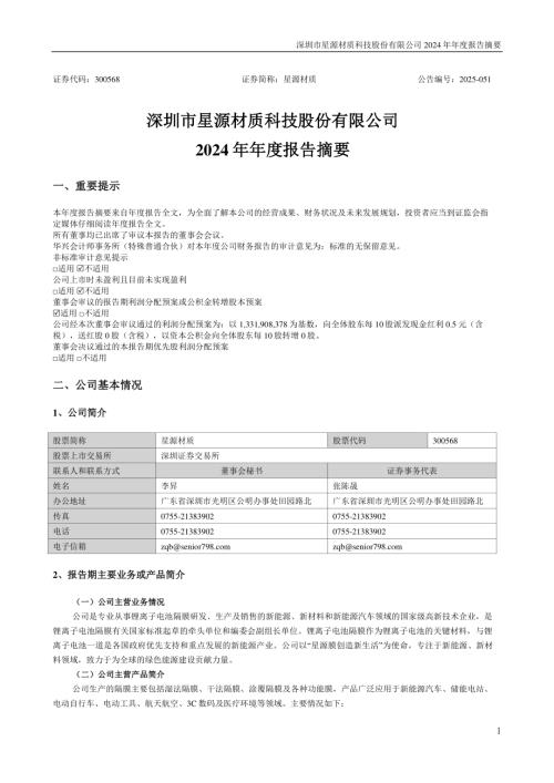 星源材质：2024年年度报告摘要.PDF
