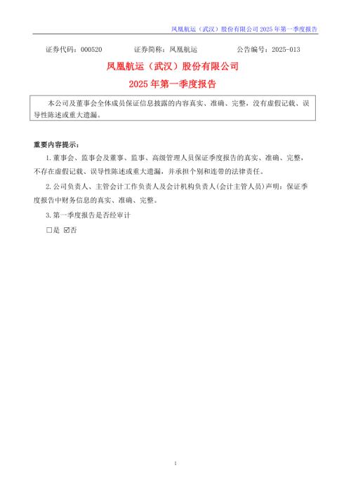 凤凰航运：2025年一季度报告.PDF