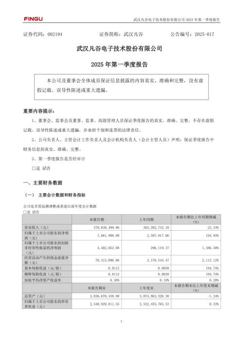 武汉凡谷：2025年一季度报告.PDF
