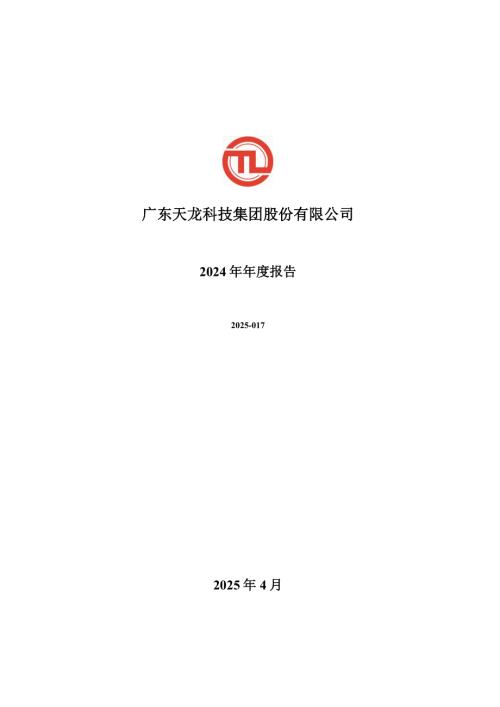 天龙集团：2024年年度报告.PDF