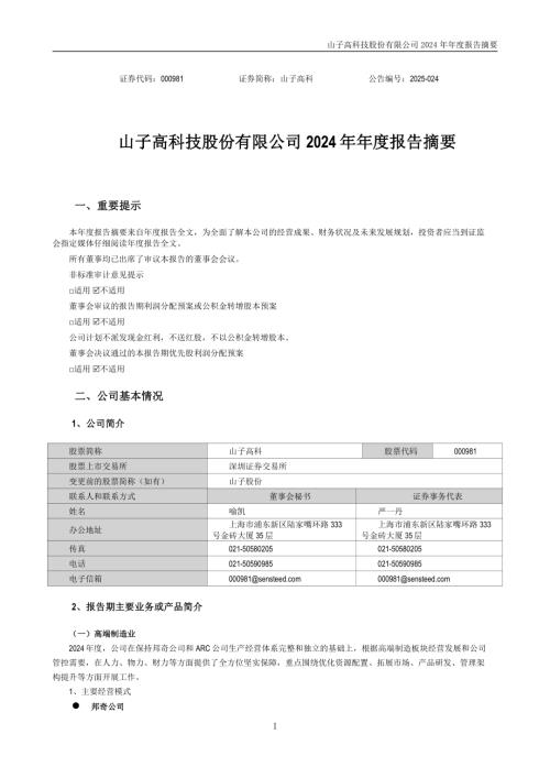 山子高科：2024年年度报告摘要.pdf