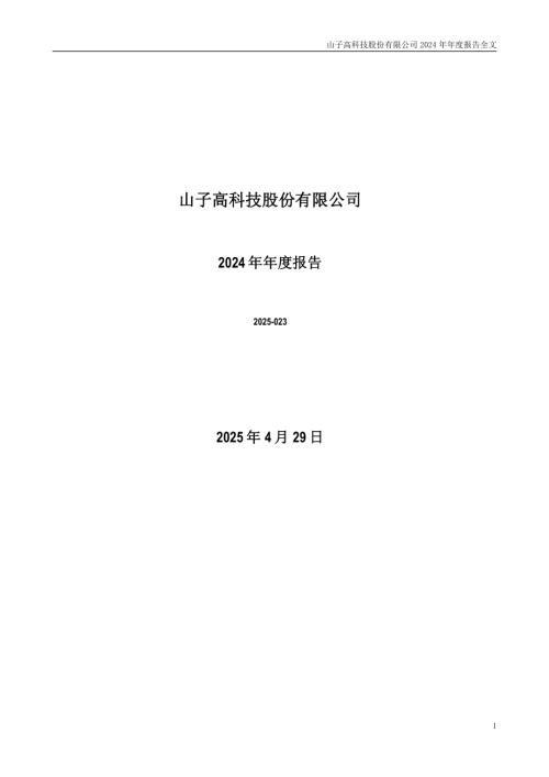 山子高科：2024年年度报告.pdf