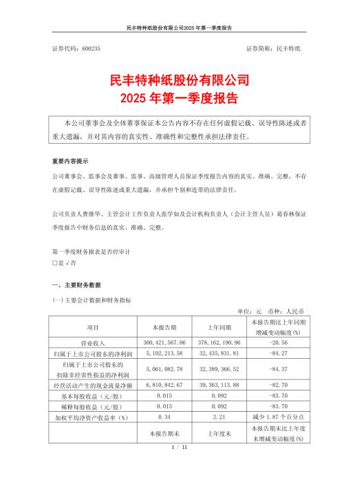 民丰特纸：民丰特纸2025年第一季度报告.PDF