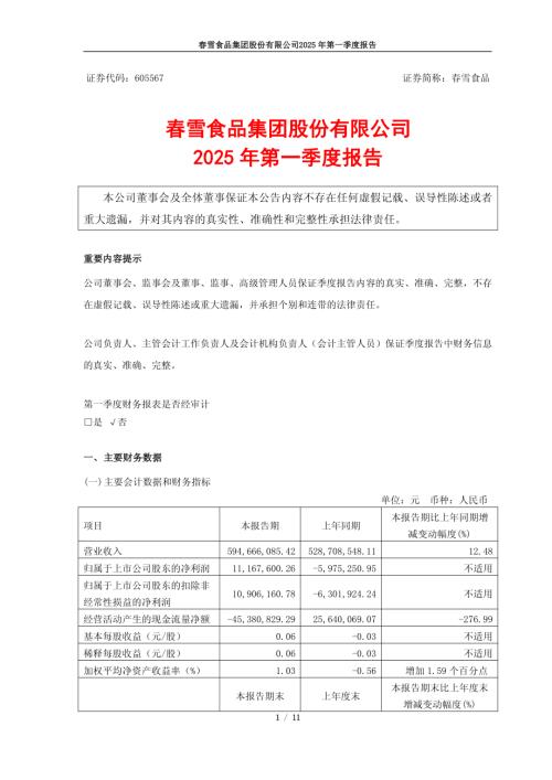 春雪食品：春雪食品集团股份有限公司2025年第一季度报告.pdf