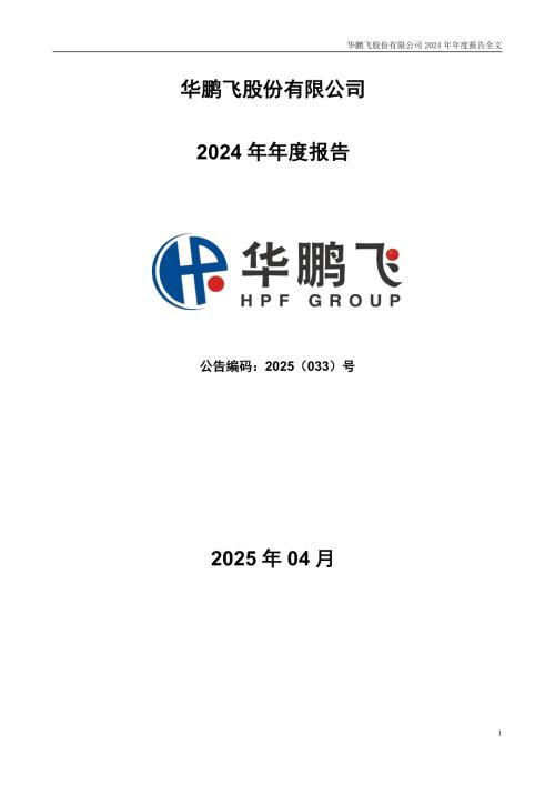 华鹏飞：2024年年度报告.PDF