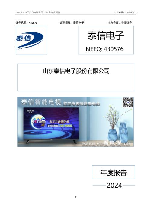 定期报告-泰信电子：2024年年度报告.PDF