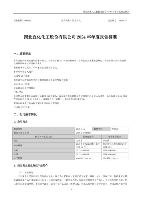 湖北宜化：2024年年度报告摘要.PDF