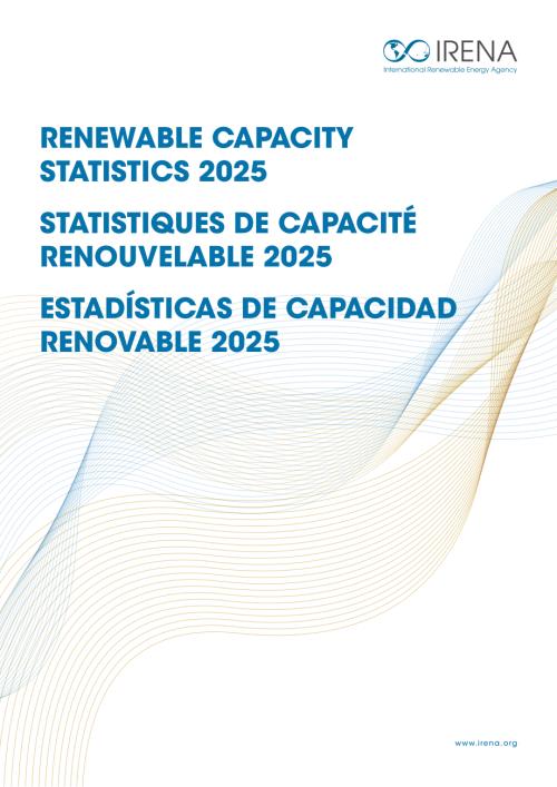 国际可再生能源署（IRENA）：2025年可再生能源装机容量数据统计报告（英法西三语版）（75页）.pdf