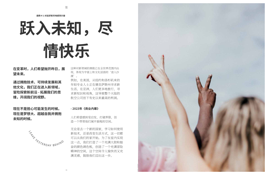 新劲（Sikkens）：2025年全球涂料色彩趋势报告：引领行业颠覆性色彩美学（英文版）（66页）.pdf_第10页