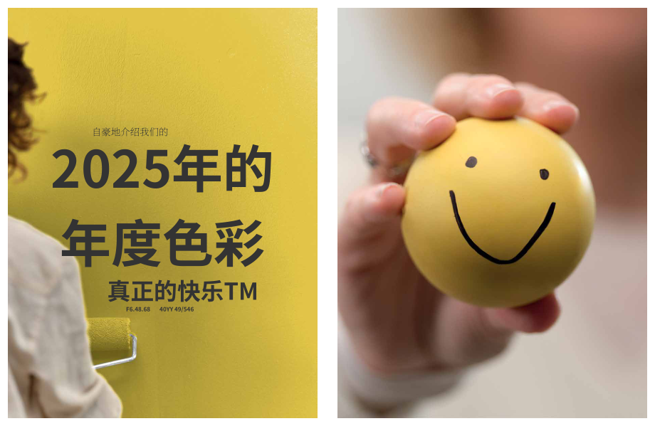 新劲（Sikkens）：2025年全球涂料色彩趋势报告：引领行业颠覆性色彩美学（英文版）（66页）.pdf_第14页