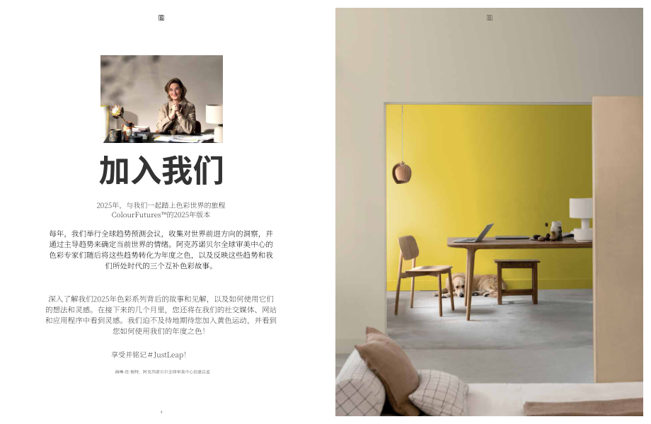 新劲（Sikkens）：2025年全球涂料色彩趋势报告：引领行业颠覆性色彩美学（英文版）（66页）.pdf_第4页