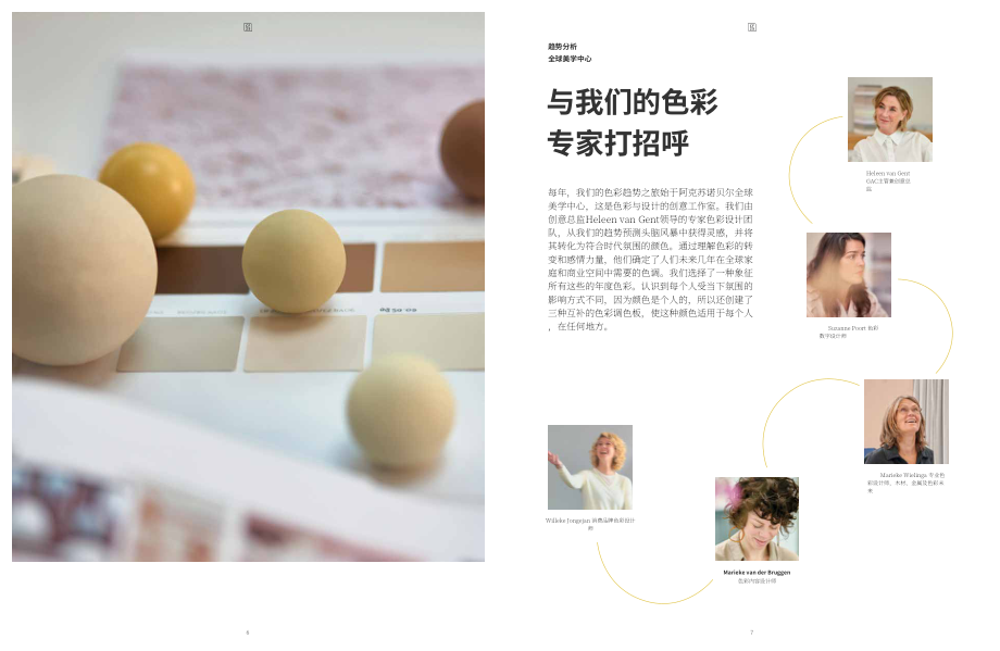 新劲（Sikkens）：2025年全球涂料色彩趋势报告：引领行业颠覆性色彩美学（英文版）（66页）.pdf_第5页