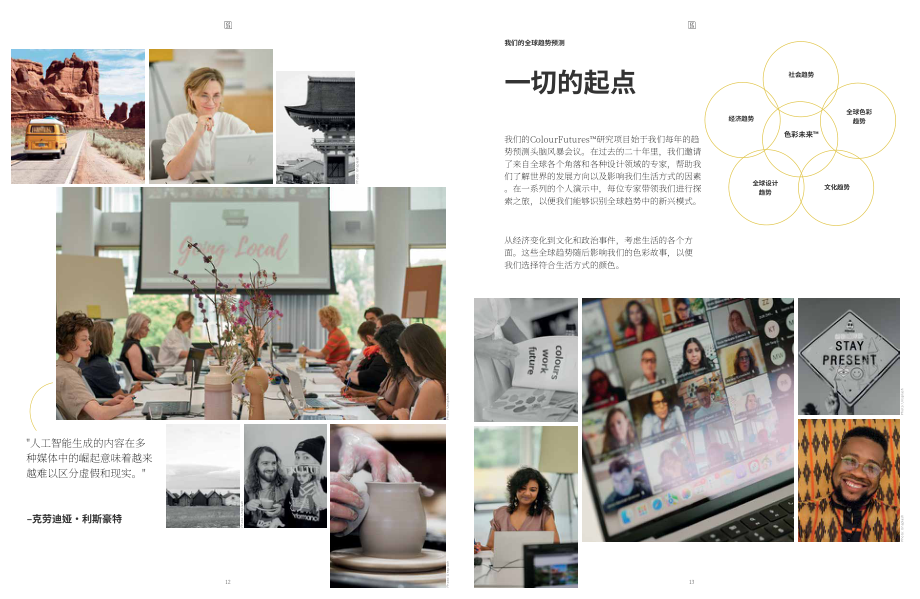 新劲（Sikkens）：2025年全球涂料色彩趋势报告：引领行业颠覆性色彩美学（英文版）（66页）.pdf_第8页